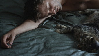 Tomcat media image