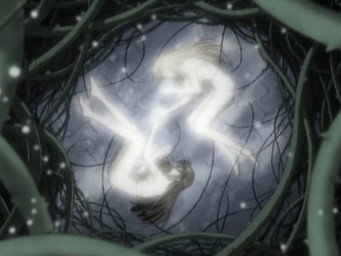 The Forest of Briars