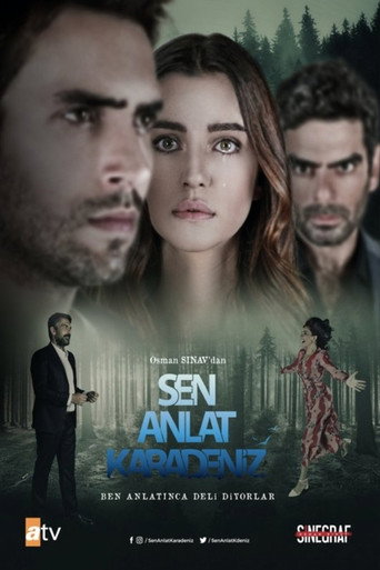 Sen Anlat Karadeniz — Pôsteres 24