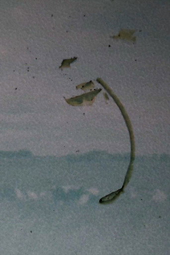 Cartell de Vergeten Landschap 2