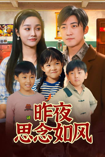 昨夜思念如风 poster