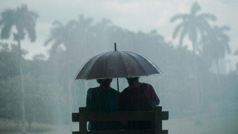 Beloved Tropic (2024)