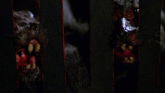 #6 Deadly Eyes
