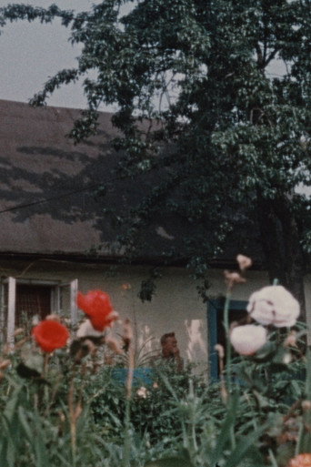 Happy Josef (1970)