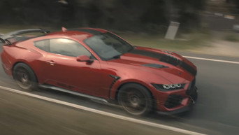 The Mongoose Scene snapshot