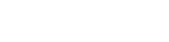 She the People logo