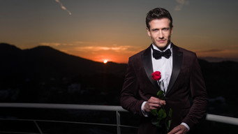 Bachelor after (2025)
