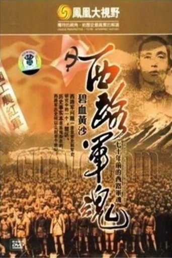 碧血黄沙：70年前的西路军魂 poster