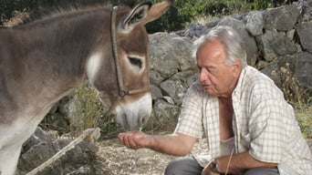 Donkey (2009)