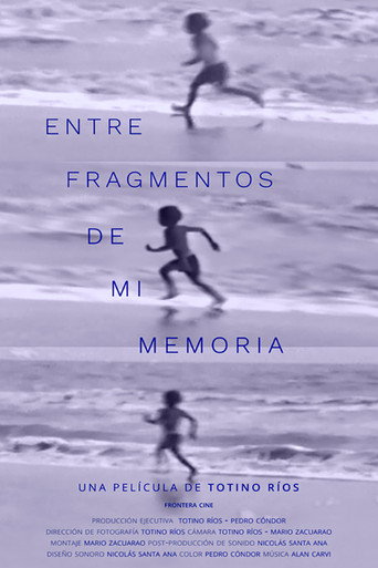 Entre fragmentos de mi memoria poster
