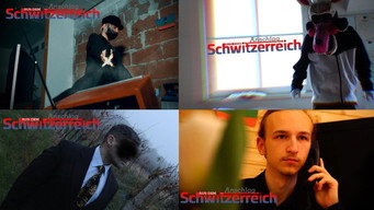 #6 Switzattack