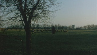 Німеччина, рік 90: Самітності (1991)