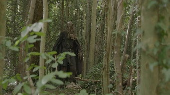 Scarecrow's Revenge (2019)