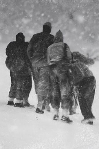 Cartell de The Horrors of Becoming Lost