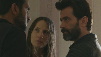 Episode 8 — Trust-Building Measures