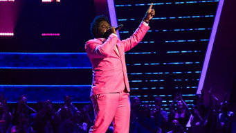 The Blind Auditions 4