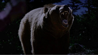 #6 Grizzly Night