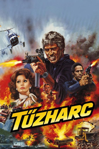 Poster 9