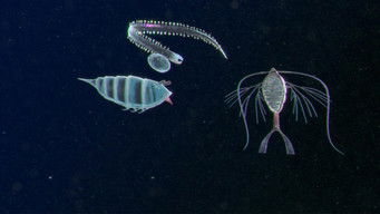 Episode 8 — Just a Little Drift