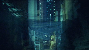 #9 Signal 8