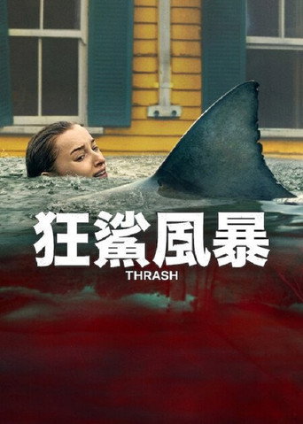 狂鯊風暴