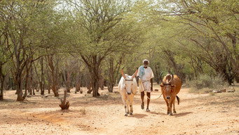 #9 Kadaisi Vivasayi