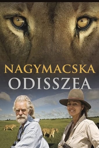 Nagymacska-odisszea