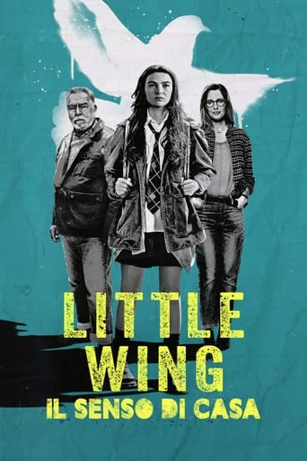 Little Wing - Il senso di casa