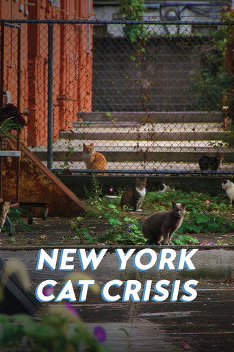 New York Cat Crisis (1970)
