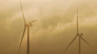 Windfall (2010)