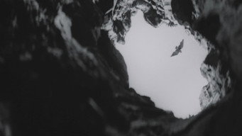 #11 Храм диких гусей