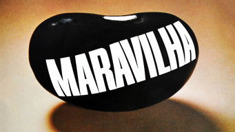 Cena de Feijão Maravilha