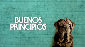 Galeria 4 - Buenos principios