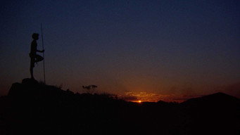 #32 Walkabout
