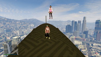 #13 Grand Theft Hamlet