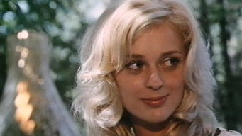 The Resort Girls (1971)