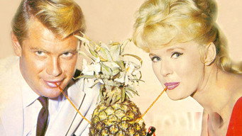 Hawaiian Eye (1959-1963)