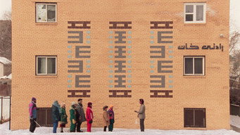 #24 Universal Language
