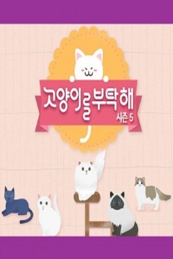 고양이를 부탁해: Season 5