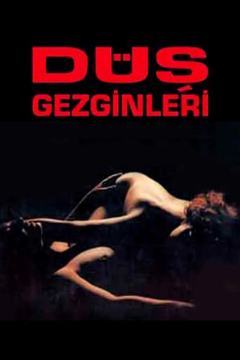 Poster of Düş Gezginleri