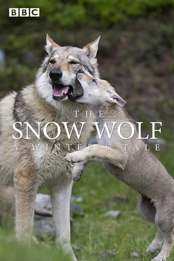 Poster of The Snow Wolf: A Winter's Tale