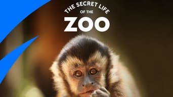 #2 The Secret Life of the Zoo