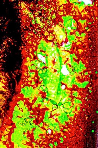 Embers from Yesterday, Aflame. poster