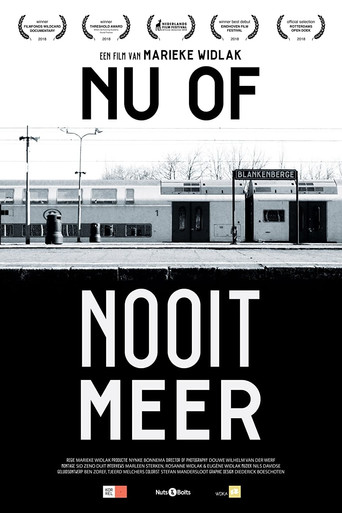 Now or Never Again (2018)