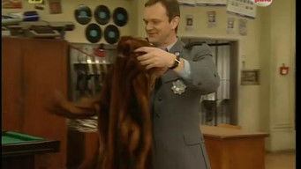 Episode 25 — Episode 25