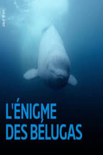 The Mystery of the Belugas (2017)