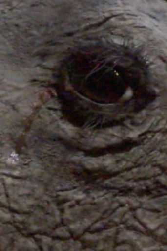 The Lost Landscape poster