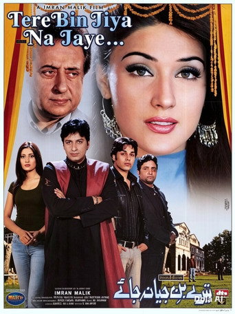 Poster تیرے بن جیا نہ جائے