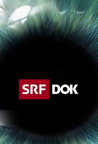 SRF DOK poster