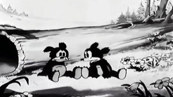 The Bears and Bees (1932)